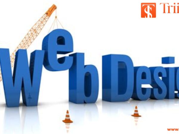 Web Design Services in New York