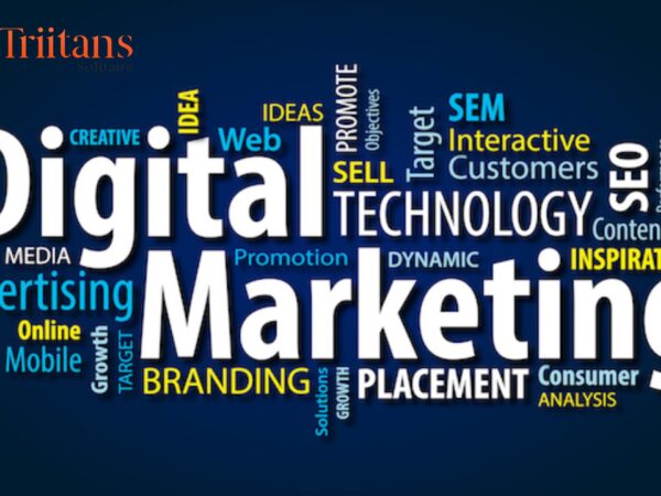 Elevate Your Business with Top-notch Digital Marketing Services in Chandigarh – Triitans Solitaire